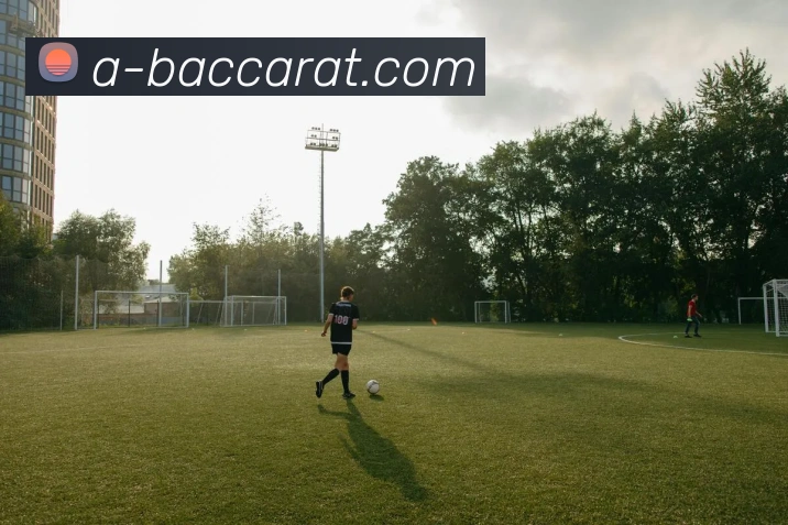 多媒体互动体验